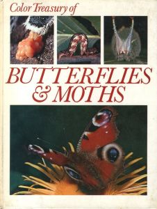 Color Treasury of Butterflies and Moths, a Kaleidoscope of Living Color / Author: Michael Tweedie 