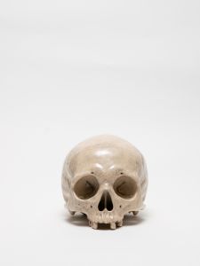 「PAINTED SKULLPTURE オブジェ / 丸岡和吾」画像1