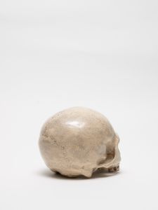 「PAINTED SKULLPTURE オブジェ / 丸岡和吾」画像4