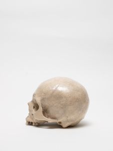 「PAINTED SKULLPTURE オブジェ / 丸岡和吾」画像5