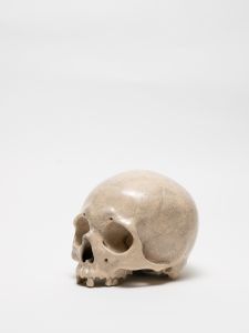 「PAINTED SKULLPTURE オブジェ / 丸岡和吾」画像3