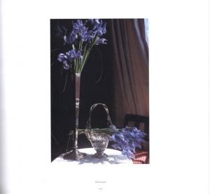 「WILLIAM  EGGLESTON THE DEMOCRATIC FOREST / Author: William Eggleston　Foreword: Eudora Welty」画像5