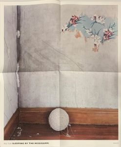 「SLEEPING BY THE MISSISSIPPI / Alec Soth」画像1