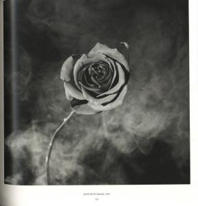 「MAPPLETHORPE / Photo: Robert Mapplethorpe　Edit, Design: Mark Holborn, Dimitri Levas」画像5