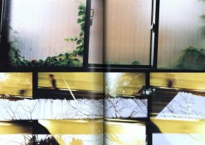 「盲いた黄金の庭 / 吉増剛造」画像1
