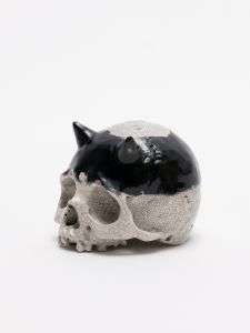 「PAINTED SKULLPTURE ぐい呑 / 丸岡和吾」画像2