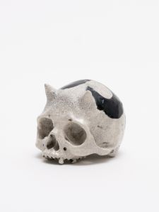 「PAINTED SKULLPTURE ぐい呑 / 丸岡和吾」画像2