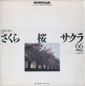 さくら・桜・サクラ66のサムネール