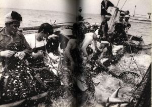 「日本の民俗【下】暮らしと生業 / 著：芳賀日出男」画像1