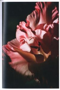 「LINA SCHEYNIUS 09 / Lina Scheynius」画像1
