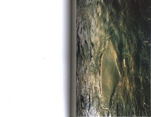 「The Citibank Private Bank Photography Prize 2001 /  Photo: Roni Horn, Hellen van Meene, Boris Mikhailov, Jem Southam, Hannah Starkey」画像2