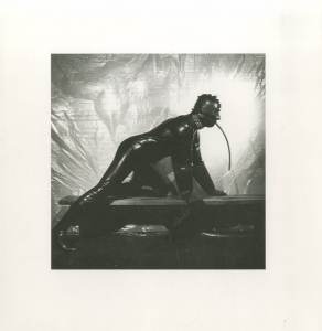 「MAPPLETHORPE / 写真：ロバート・メイプルソープ」画像3