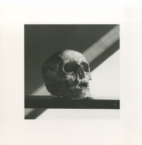 「MAPPLETHORPE / 写真：ロバート・メイプルソープ」画像5