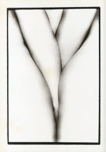 「抱擁 / 写真：細江英公　序文：三島由紀夫」画像6