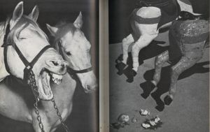 「Laughing Camera I / Author: Hanns Reich　Text by Heinz Held」画像1