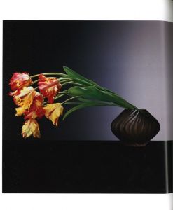 「Flowers / Author: Robert Mapplethorpe　Foreword: Patti Smith　Design: Dimitri Levas」画像3
