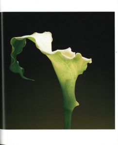 「Flowers / Author: Robert Mapplethorpe　Foreword: Patti Smith　Design: Dimitri Levas」画像4