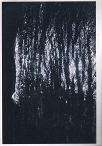 「未知 / 川島小鳥」画像3