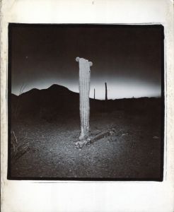 RICHARD MISRACH 1979 / Richard Misrach　