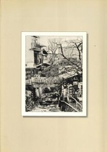 「平地勲写真集　温泉芸者 / 写真：平地勲」画像1