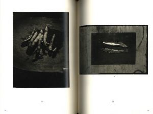 「Wols Photographs Watercolours Etchings / Wols」画像4