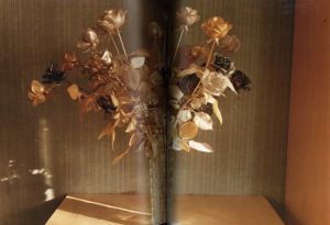 「SKETCH OF PARIS / JH Engström」画像4