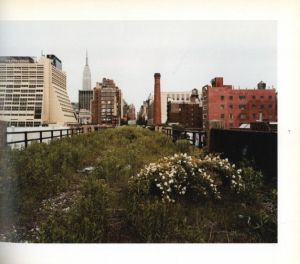 「Walking the High Line / Joel Sternfeld」画像2
