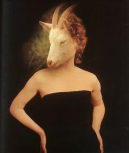 「JANET BELDEN BEYDA: ALTE BEKANNTE TAGEBUCH 2 / Janet Belden Beyda」画像1