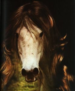 「JANET BELDEN BEYDA: ALTE BEKANNTE TAGEBUCH 2 / Janet Belden Beyda」画像3