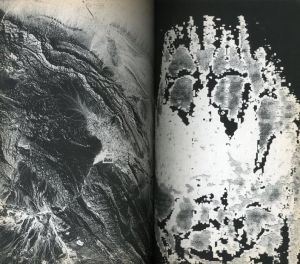 「断層図鑑 / 著：戸田ツトム」画像2