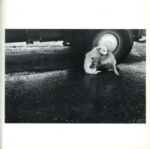 「丹波（ふるさと）　私への旅 / うすい一光」画像4