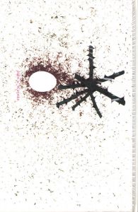 「薔薇刑 完全復刻版 / 復刻版制作指揮:大沢類 写真・監修:細江英公  被写体・序文:三島由紀夫 装丁・監修:杉浦康平」画像3