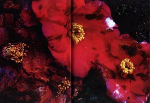 「Fashion Eye Silk Road / Photo: Kishin Shinoyama」画像4
