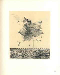 「駒井哲郎 銅版画作品集 / 著：駒井哲郎　文：岡田隆彦、岡鹿之助、埴谷雄高」画像2