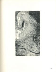 「駒井哲郎 銅版画作品集 / 著：駒井哲郎　文：岡田隆彦、岡鹿之助、埴谷雄高」画像6