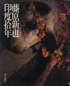 藤原新也　印度拾年のサムネール