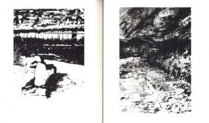 「hysteric Eleven　小島一郎 / 著：小島一郎」画像1