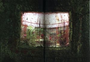 「WINTERREISE / Luc Delahaye」画像6
