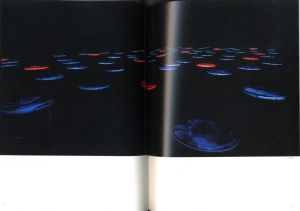 「数寄：複方言への試み / 監修：伊藤潤二　AD：田中一光　作家：崔在銀（チェ・ジェウン）、日比野克彦、千住博、河口洋一郎、隈研吾」画像1