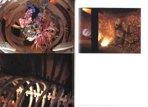 「鯨の目 / 大小島真木」画像4