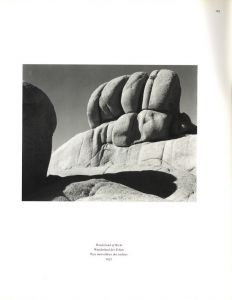 「Edward Weston 1886-1958 / Photo: Edward Weston　Text: Terence Pitts」画像1