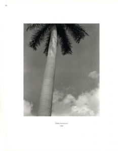 「Edward Weston 1886-1958 / Photo: Edward Weston　Text: Terence Pitts」画像3