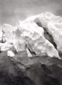 「GENESIS / Sebastião Salgado」画像5