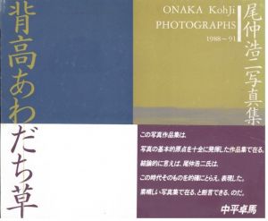 背高あわだち草　尾仲浩二写真集　1988-91のサムネール