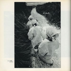 「太陽の鉛筆　沖縄・海と空と島と人びと・そして東南アジアへ / 著：東松照明」画像10