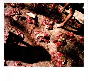 「Makalu / 写真・文：石川直樹」画像4