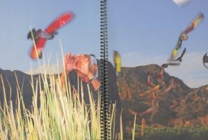 「Paloma al aire / Photo: Ricardo Cases」画像3