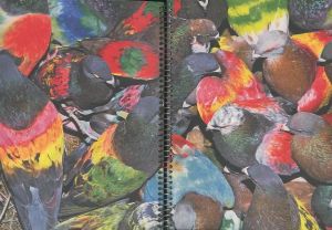 「Paloma al aire / Photo: Ricardo Cases」画像6