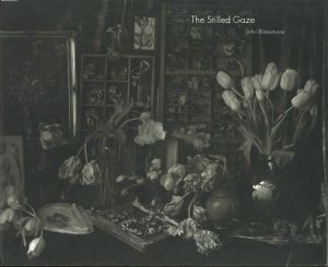 The Stilled Gazeのサムネール