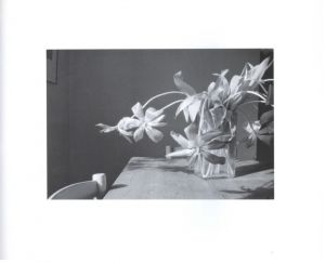 「The Stilled Gaze / John Blakemore 」画像6